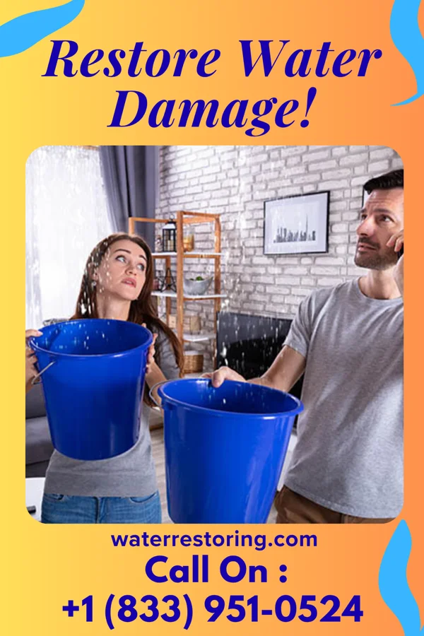 water restoration Expert Flood Recovery Force Mineral