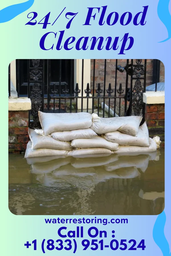 24/7 Flood Cleanup in Mineral, VA