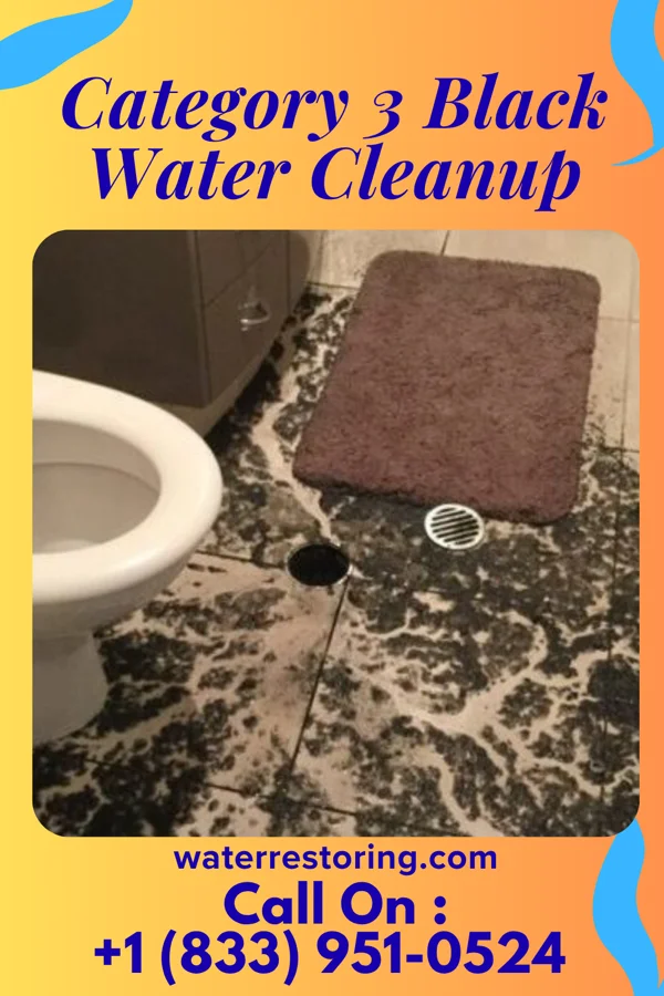Category 3 Black Water Cleanup in Mineral, VA