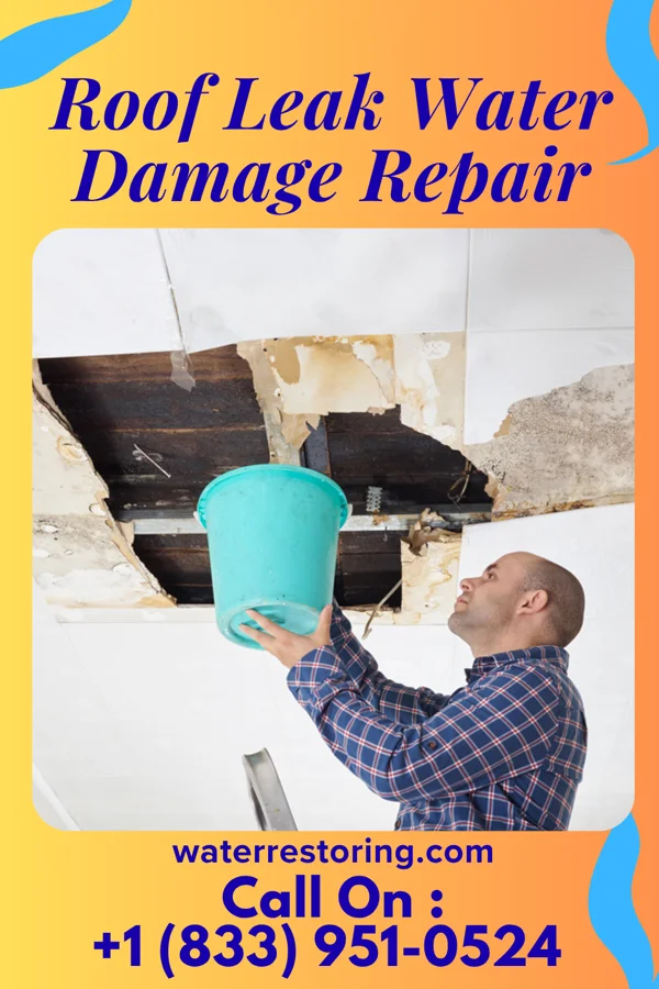 Roof Leak Water Damage Repair in Mineral, VA
