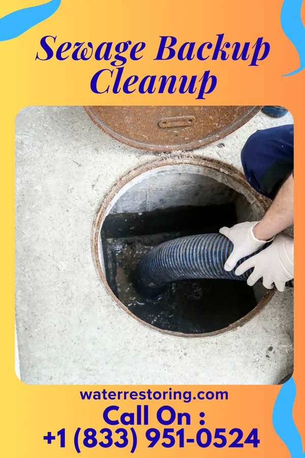 Sewage Backup Cleanup in Mineral, VA